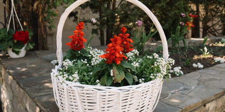 ???? Pași de pelerin: Orheiul Vechi – nevoință sculptată în stâncă