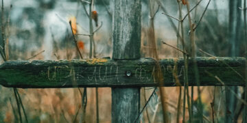 Crucea și mormântul Sfântului Cuvios Iraclie din Basarabia descoperite în chip minunat la Chițcani